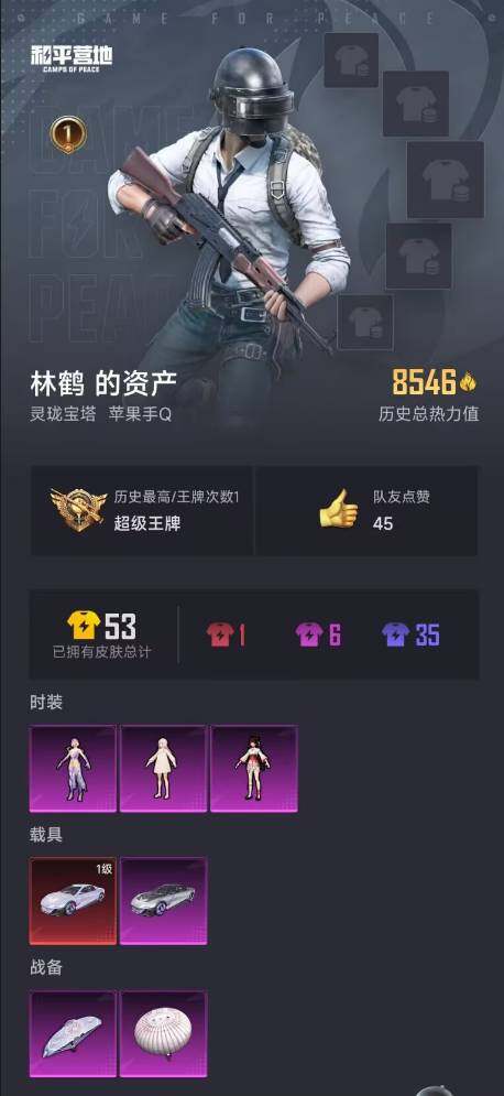 HPCMW3421698和平精英账号详情图3 HPCMW3421698和平精英账号详情图3